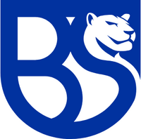 Union Brescia