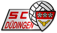SC Duedingen